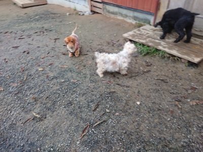 f:id:roukenhome-ann:20181207073609j:plain