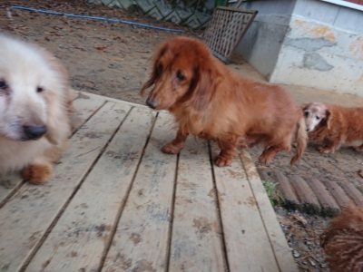 f:id:roukenhome-ann:20181207073614j:plain