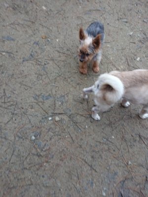 f:id:roukenhome-ann:20181207073711j:plain