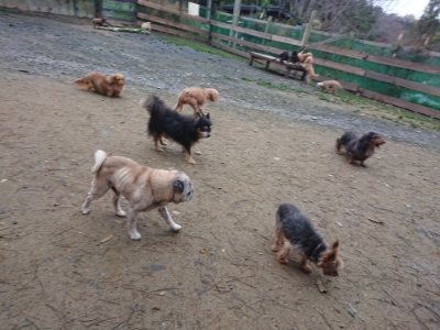 f:id:roukenhome-ann:20181207073935j:plain