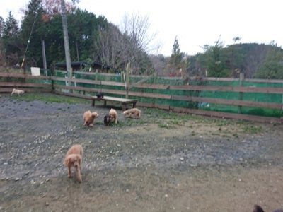 f:id:roukenhome-ann:20181207073959j:plain