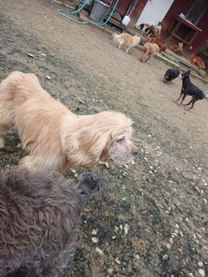 f:id:roukenhome-ann:20181207074026j:plain