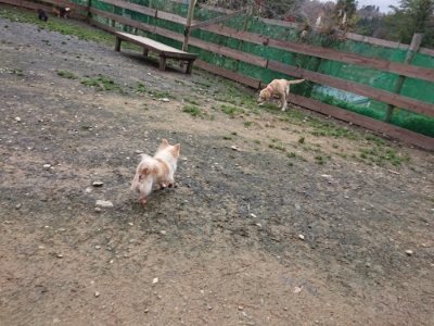 f:id:roukenhome-ann:20181207074034j:plain