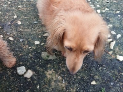 f:id:roukenhome-ann:20181207074044j:plain
