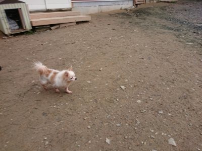 f:id:roukenhome-ann:20181207074059j:plain