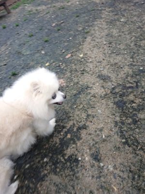 f:id:roukenhome-ann:20181207074230j:plain