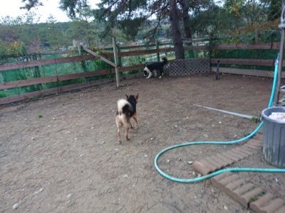 f:id:roukenhome-ann:20181207074327j:plain
