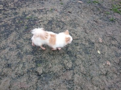 f:id:roukenhome-ann:20181207074336j:plain