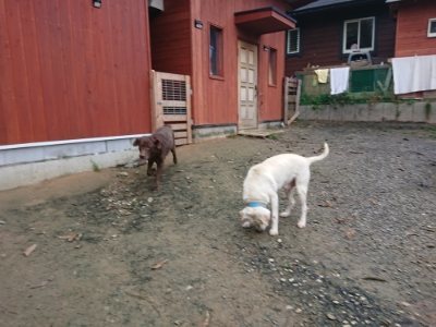 f:id:roukenhome-ann:20181207074358j:plain