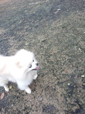 f:id:roukenhome-ann:20181207074444j:plain