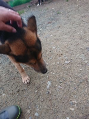 f:id:roukenhome-ann:20181207074454j:plain