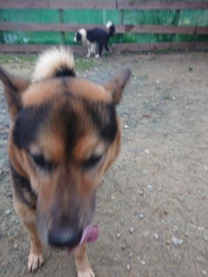 f:id:roukenhome-ann:20181207074459j:plain