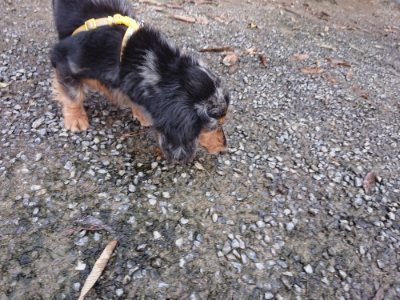 f:id:roukenhome-ann:20181207074505j:plain