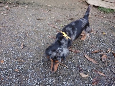 f:id:roukenhome-ann:20181207074531j:plain
