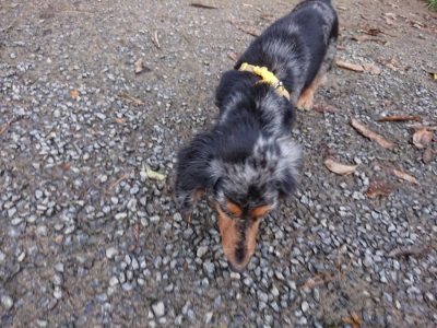 f:id:roukenhome-ann:20181207074536j:plain