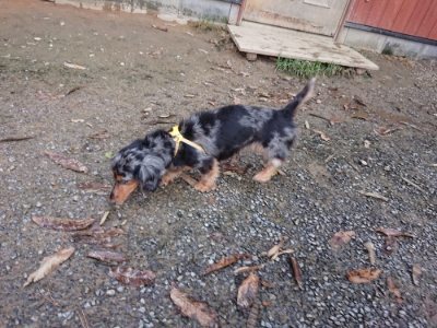 f:id:roukenhome-ann:20181207074716j:plain