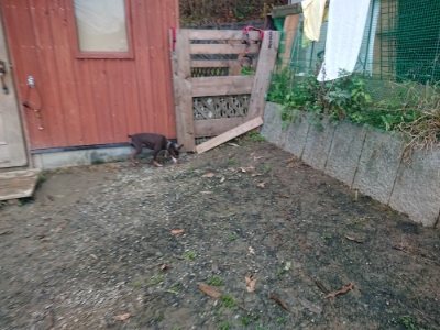 f:id:roukenhome-ann:20181207074759j:plain