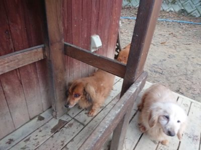 f:id:roukenhome-ann:20181207074836j:plain