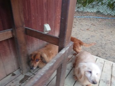 f:id:roukenhome-ann:20181207074910j:plain