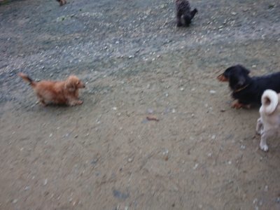 f:id:roukenhome-ann:20181207074937j:plain