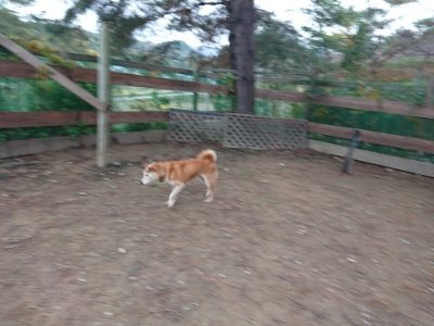 f:id:roukenhome-ann:20181207074941j:plain