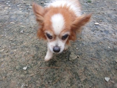 f:id:roukenhome-ann:20181207075241j:plain