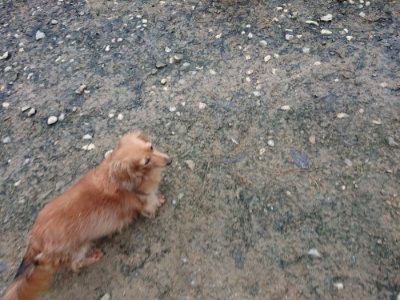 f:id:roukenhome-ann:20181207075309j:plain