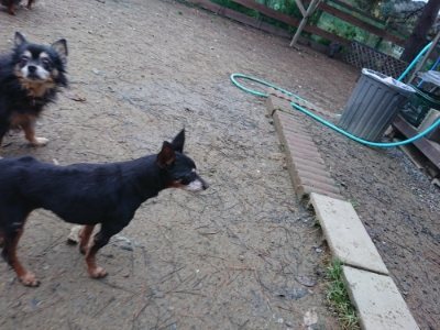f:id:roukenhome-ann:20181207075334j:plain