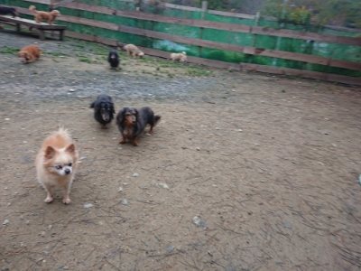 f:id:roukenhome-ann:20181207075340j:plain