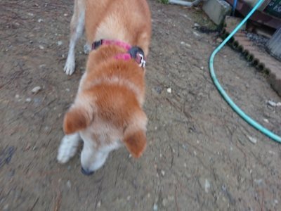 f:id:roukenhome-ann:20181207075512j:plain