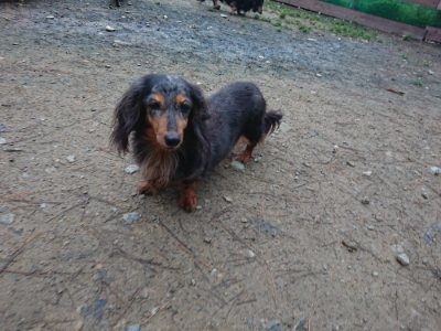 f:id:roukenhome-ann:20181207075551j:plain