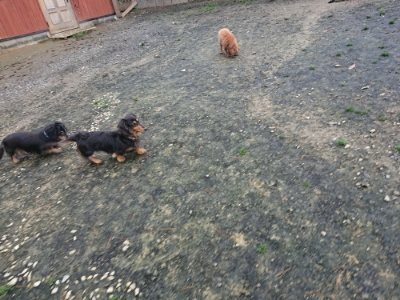 f:id:roukenhome-ann:20181207075604j:plain