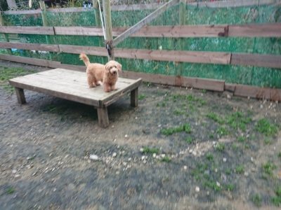 f:id:roukenhome-ann:20181207075632j:plain