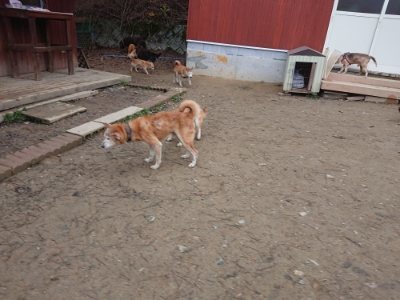 f:id:roukenhome-ann:20181207075643j:plain