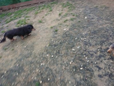 f:id:roukenhome-ann:20181207075702j:plain