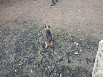 f:id:roukenhome-ann:20181207075707j:plain