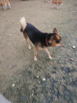 f:id:roukenhome-ann:20181207075712j:plain