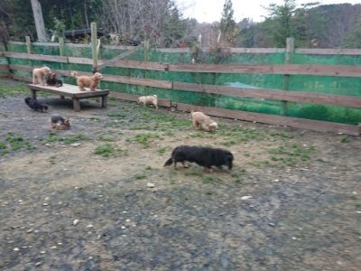 f:id:roukenhome-ann:20181207075800j:plain