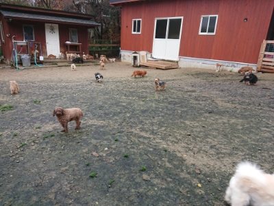 f:id:roukenhome-ann:20181208053452j:plain