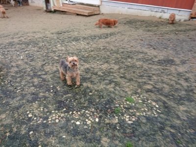 f:id:roukenhome-ann:20181208053512j:plain
