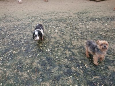 f:id:roukenhome-ann:20181208053516j:plain
