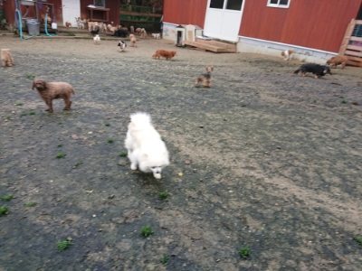 f:id:roukenhome-ann:20181208053526j:plain