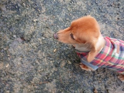 f:id:roukenhome-ann:20181208053555j:plain