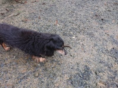 f:id:roukenhome-ann:20181208053614j:plain