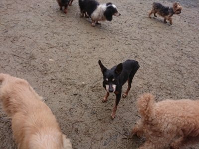 f:id:roukenhome-ann:20181208053651j:plain
