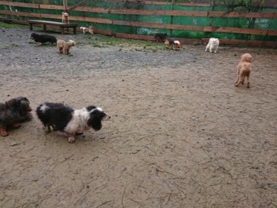 f:id:roukenhome-ann:20181208053741j:plain