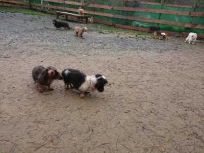 f:id:roukenhome-ann:20181208053746j:plain