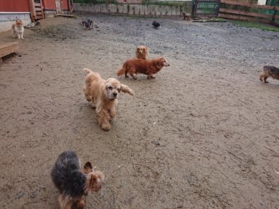 f:id:roukenhome-ann:20181208053811j:plain
