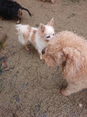 f:id:roukenhome-ann:20181208053834j:plain