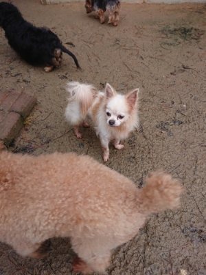 f:id:roukenhome-ann:20181208053838j:plain